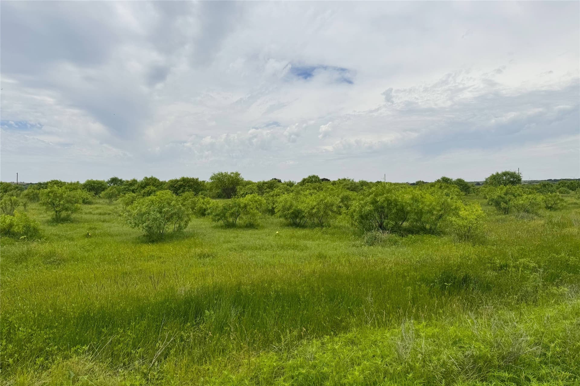 320 acres in Clay County - photo 4