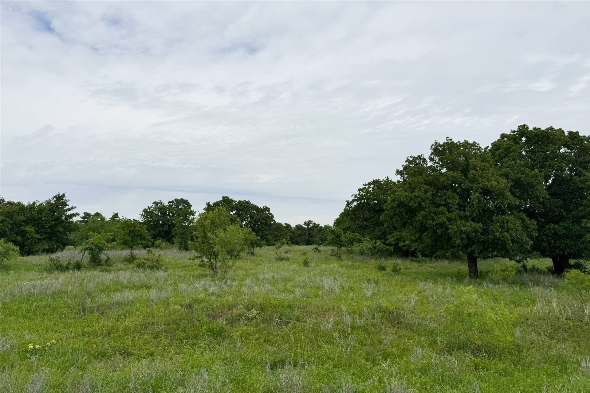 320 acres in Clay County - photo 15