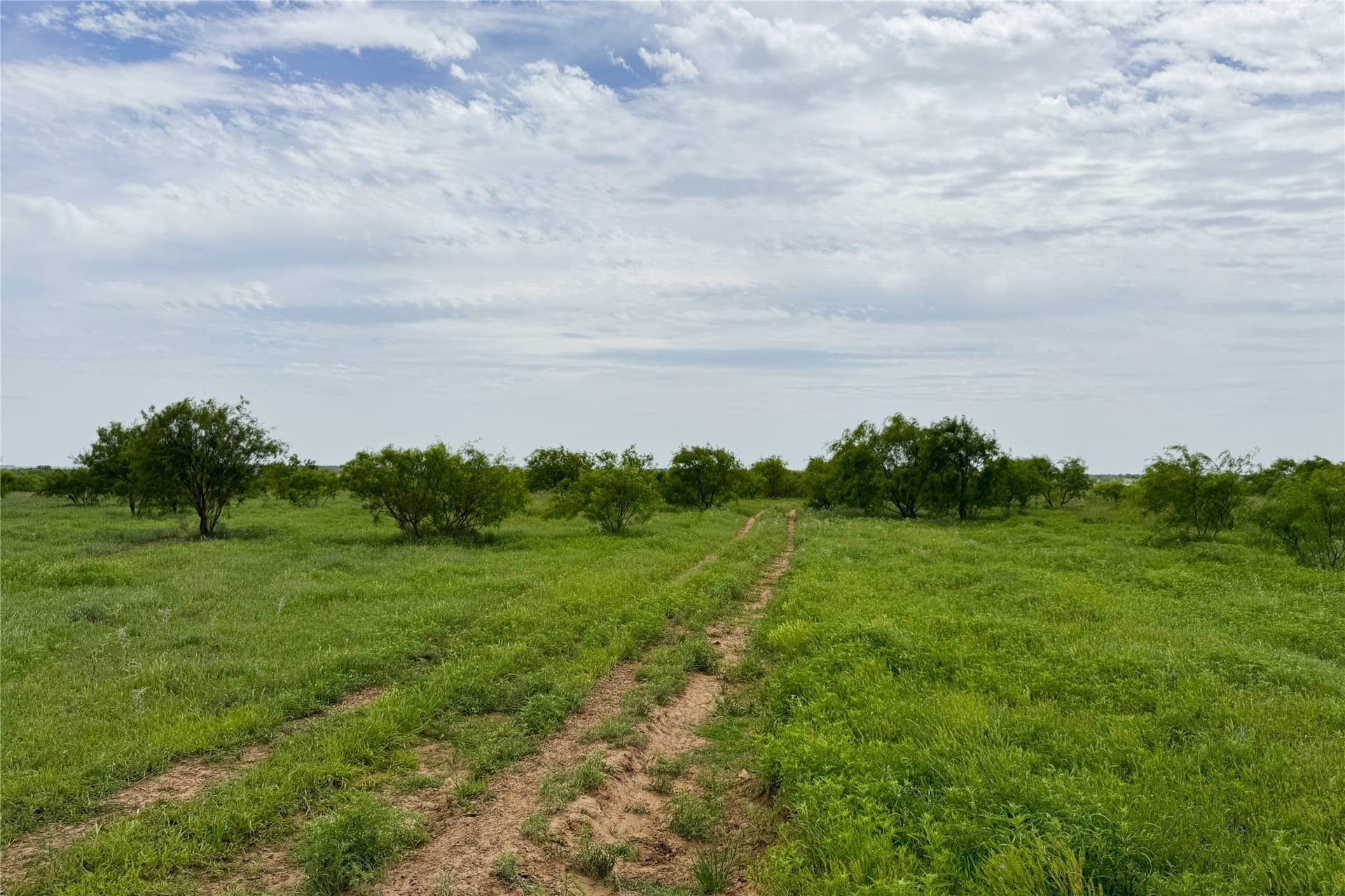 320 acres in Clay County - photo 8