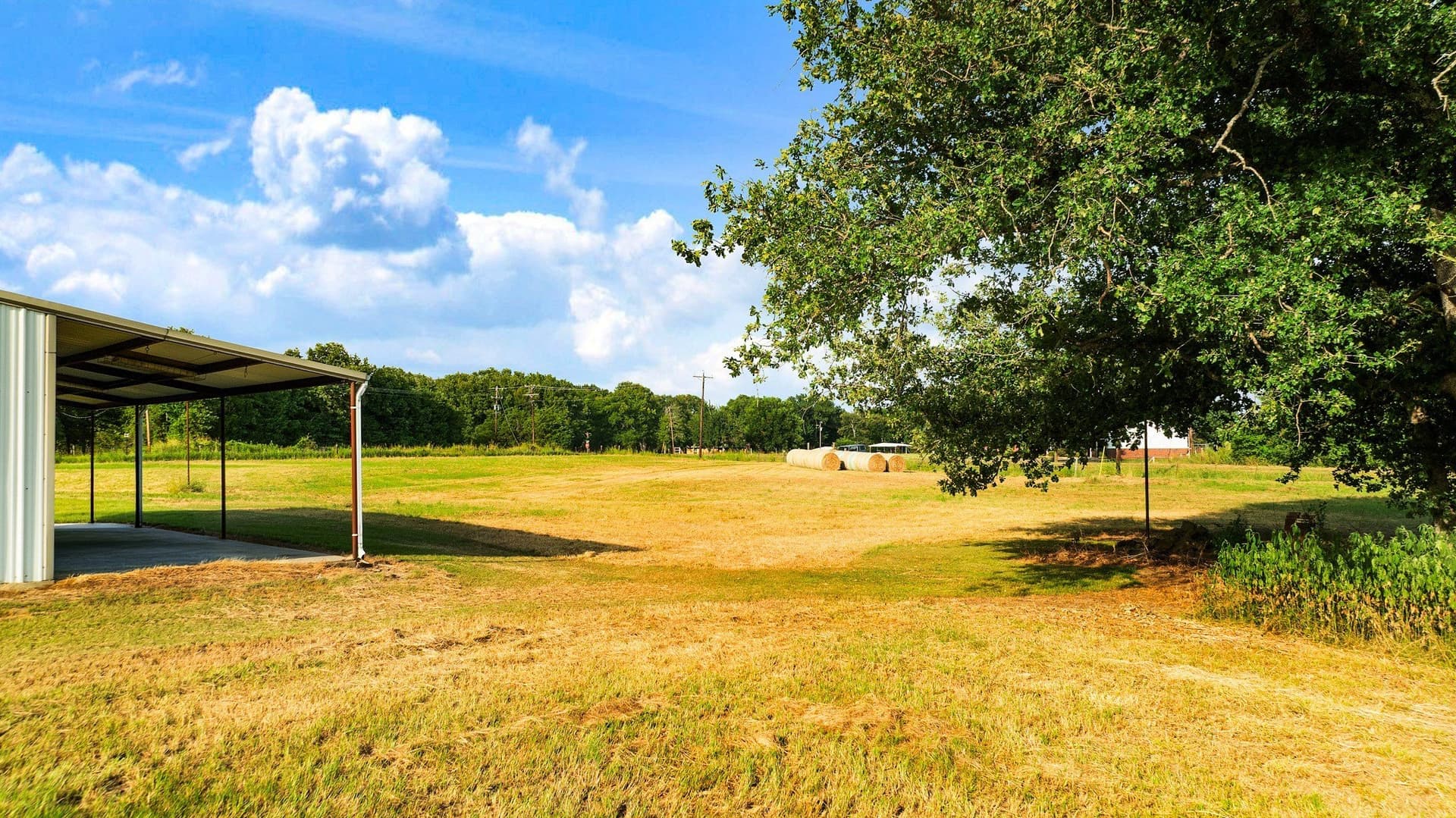 9.4 acres in Lamar County - photo 8