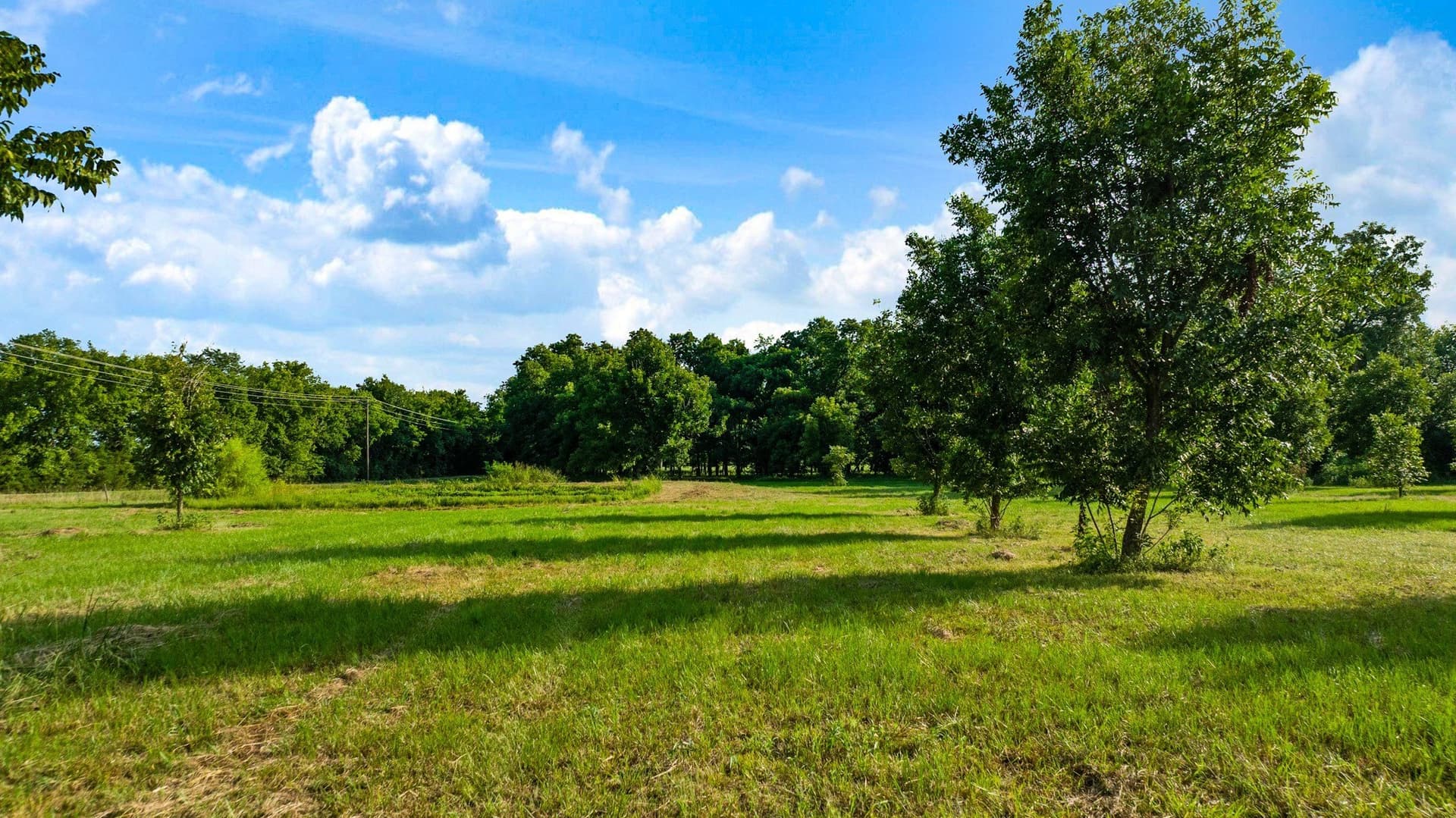 9.4 acres in Lamar County - photo 18