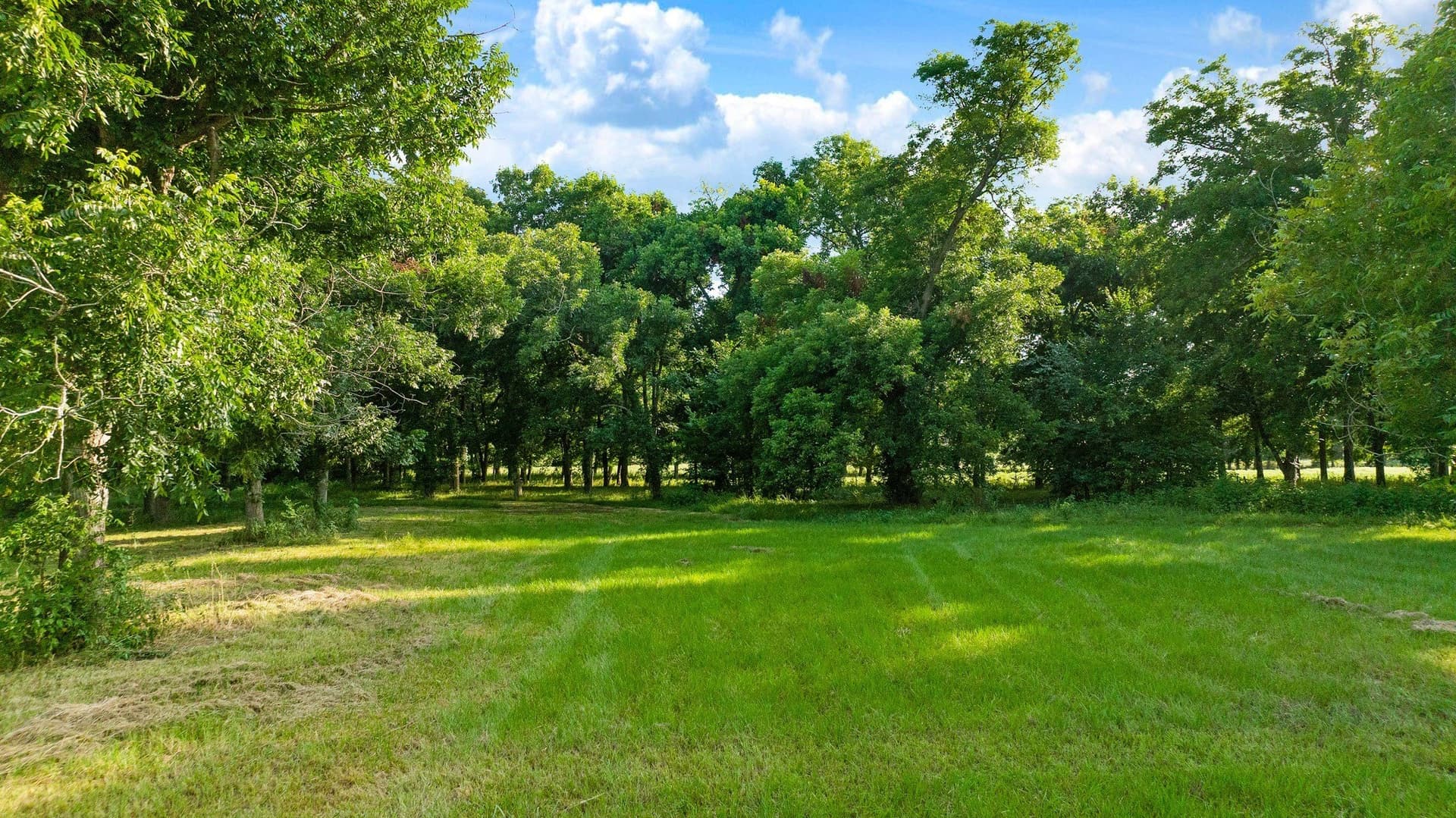 9.4 acres in Lamar County - photo 16