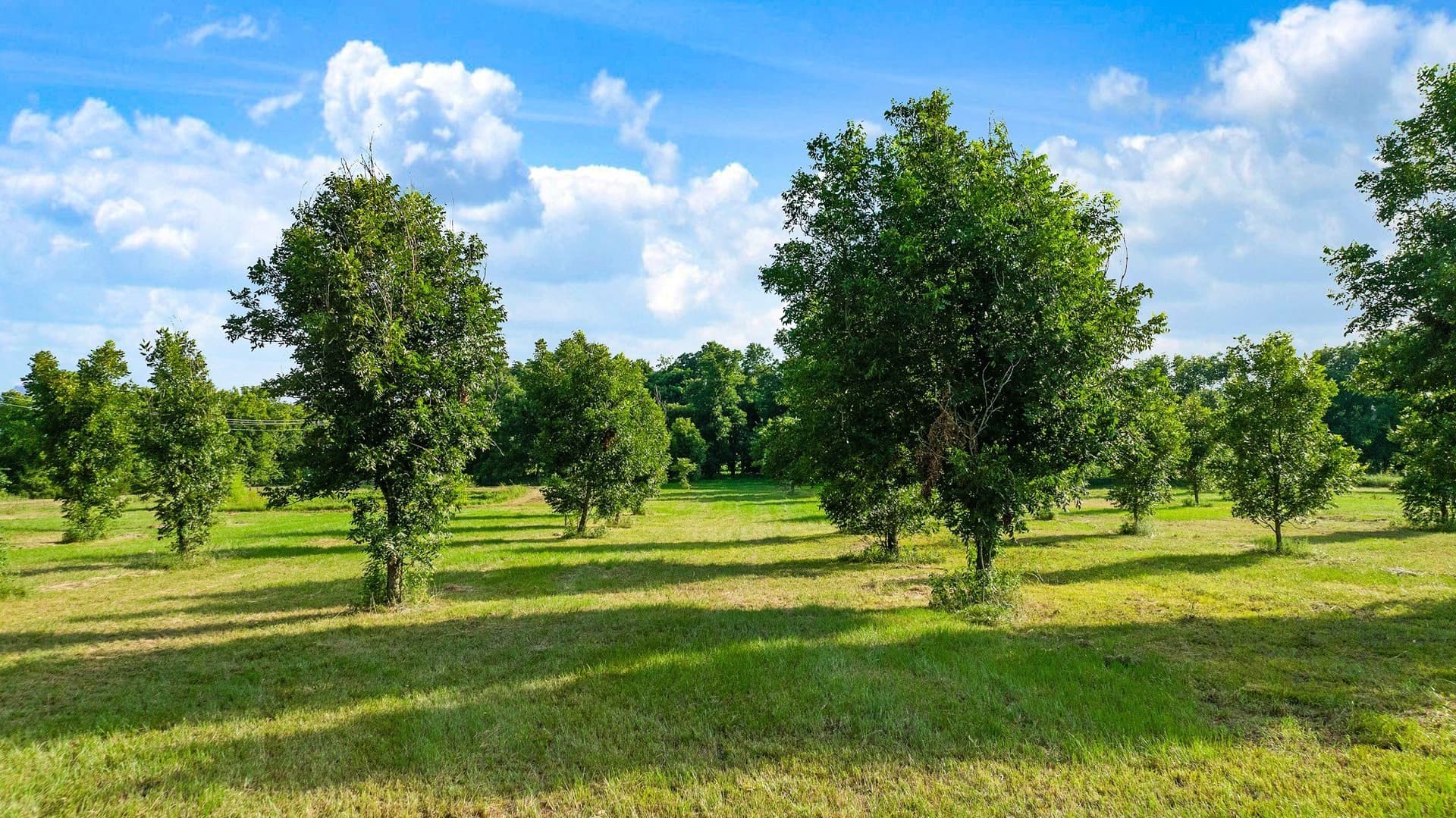 9.4 acres in Lamar County - photo 17