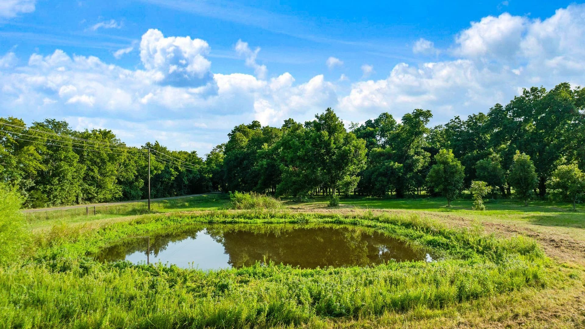 9.4 acres in Lamar County - photo 7
