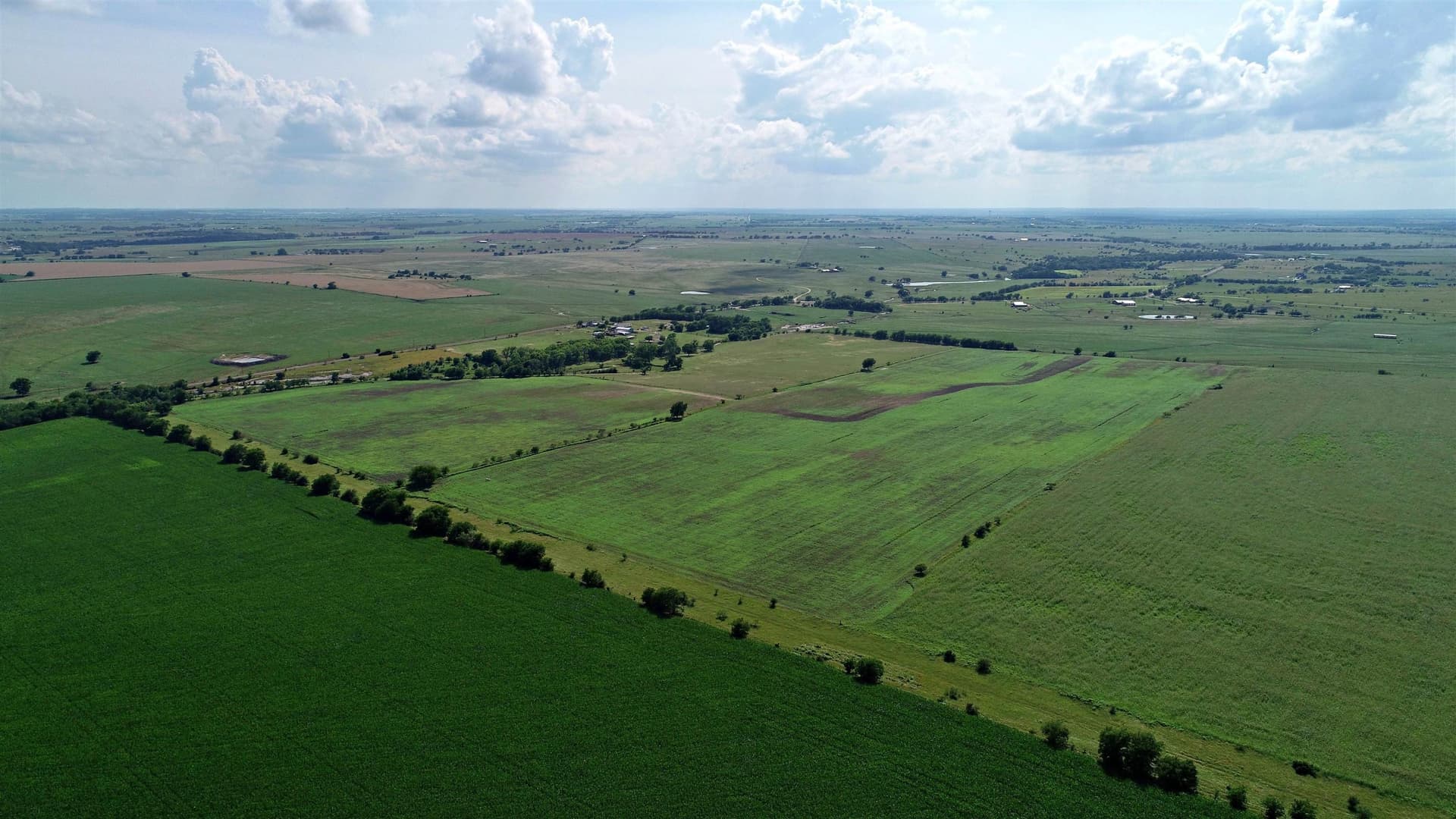 99.97 acres in Bell County featured view