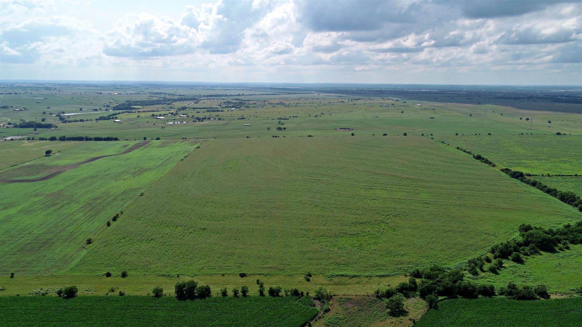 99.97 acres in Bell County gallery image 4