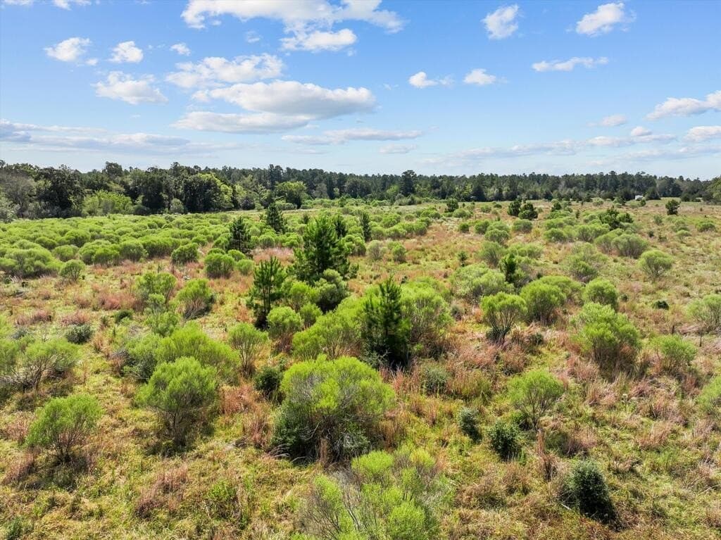 59 acres in Texas County - photo 18