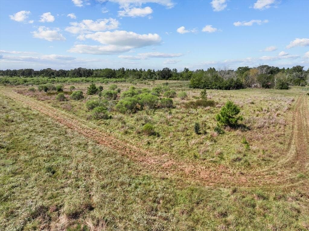 59 acres in Texas County - photo 11