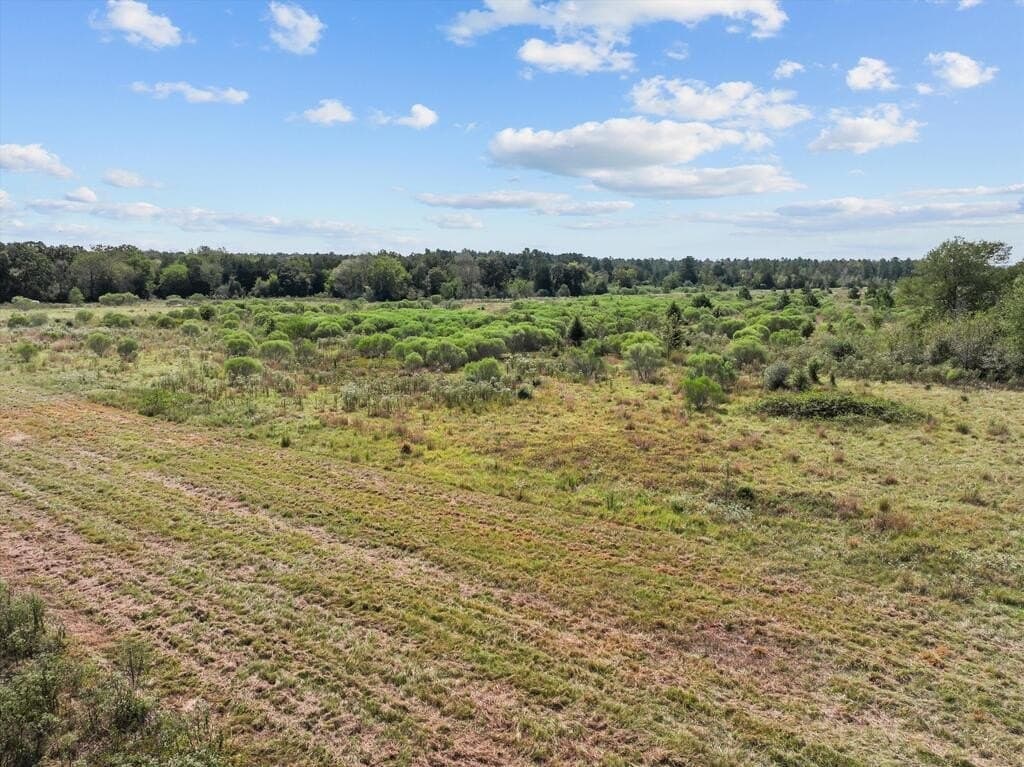 59 acres in Texas County - photo 19