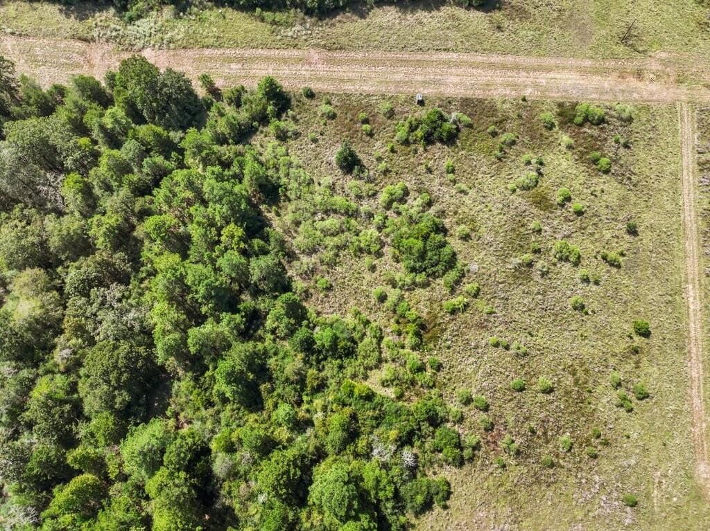 59 acres in Texas County - photo 14