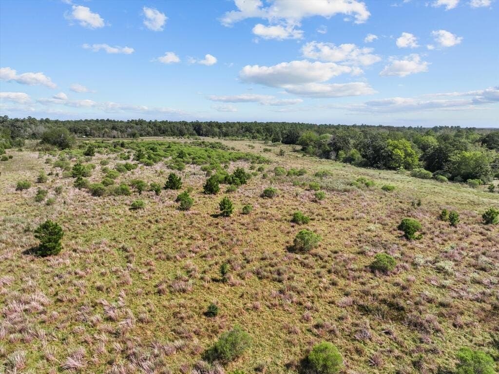 59 acres in Texas County - photo 17
