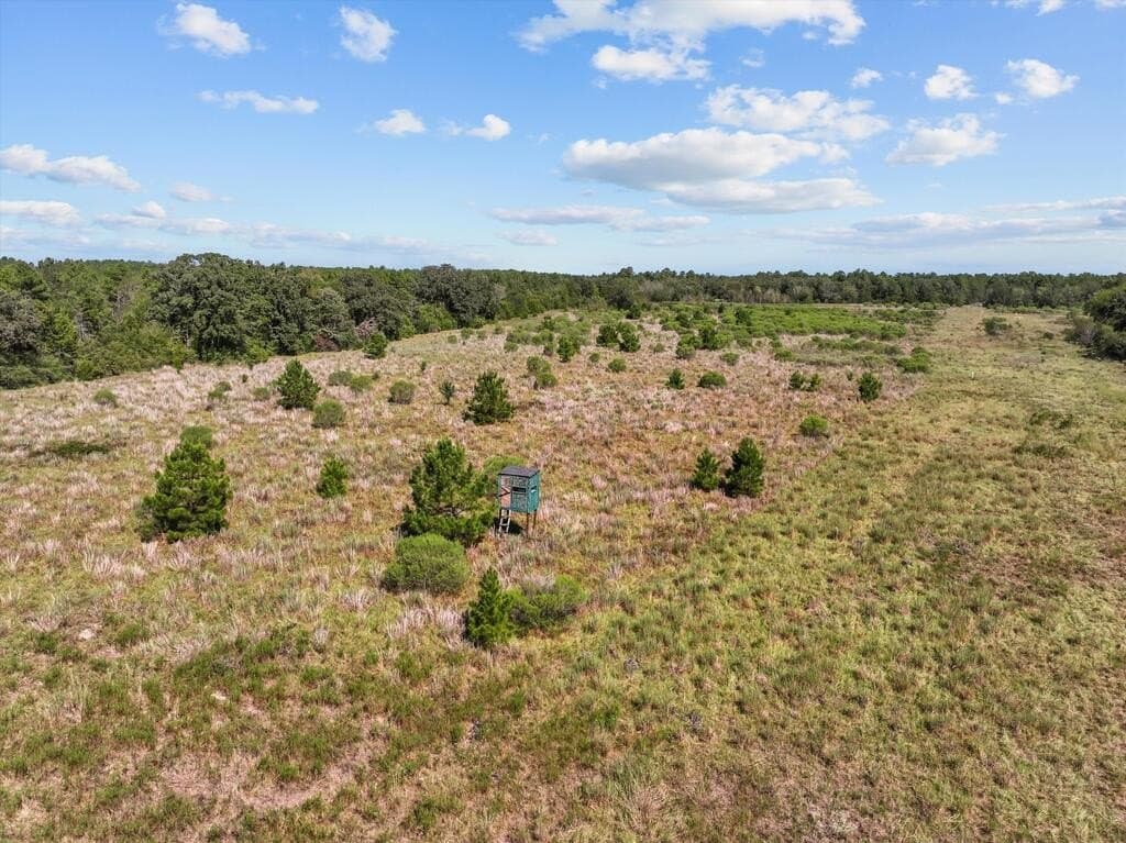 59 acres in Texas County - photo 10