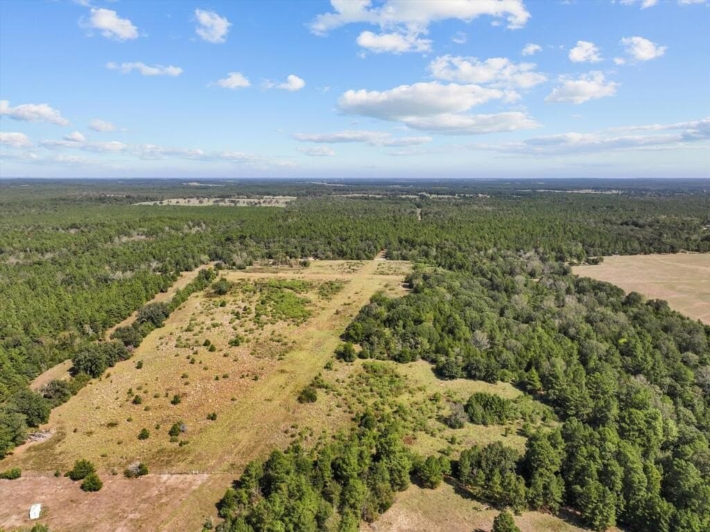 59 acres in Texas County - photo 3