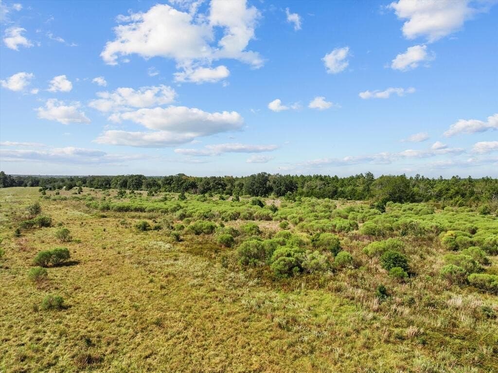 59 acres in Texas County - photo 8