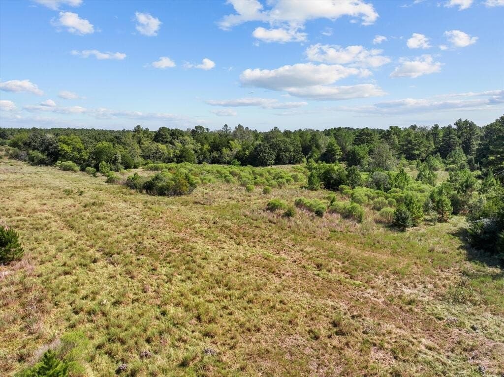 59 acres in Texas County - photo 9