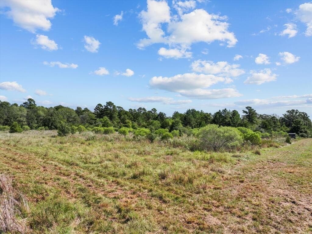 59 acres in Texas County - photo 7