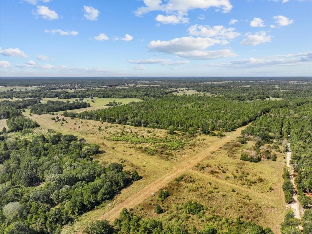 59 acres in Texas County - photo 2
