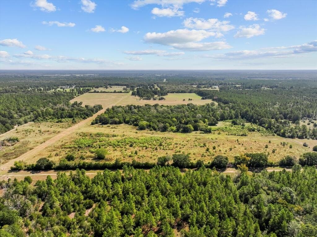 59 acres in Texas County - photo 5