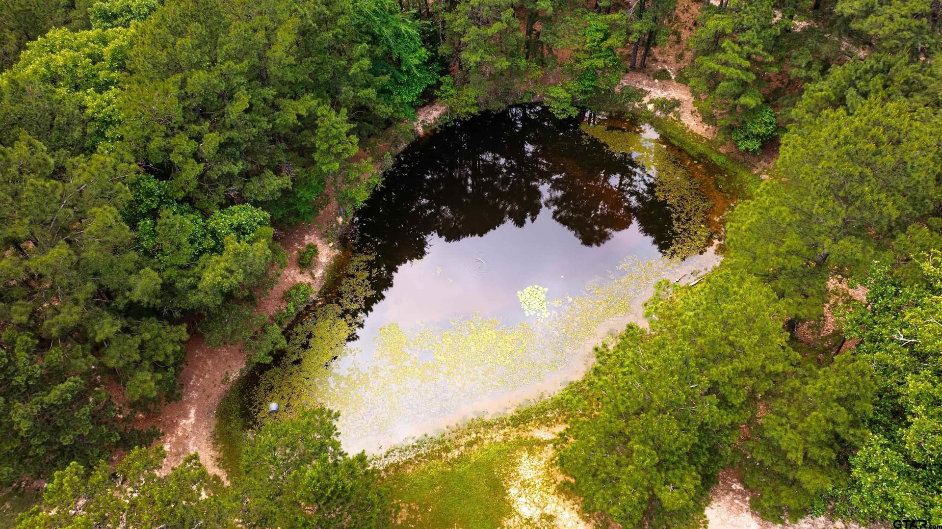 38 acres in Anderson County - photo 47