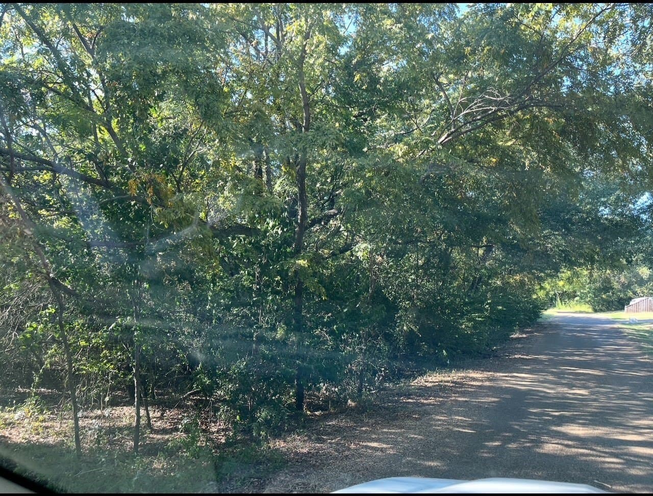 0.62 acres in Henderson County - photo 3