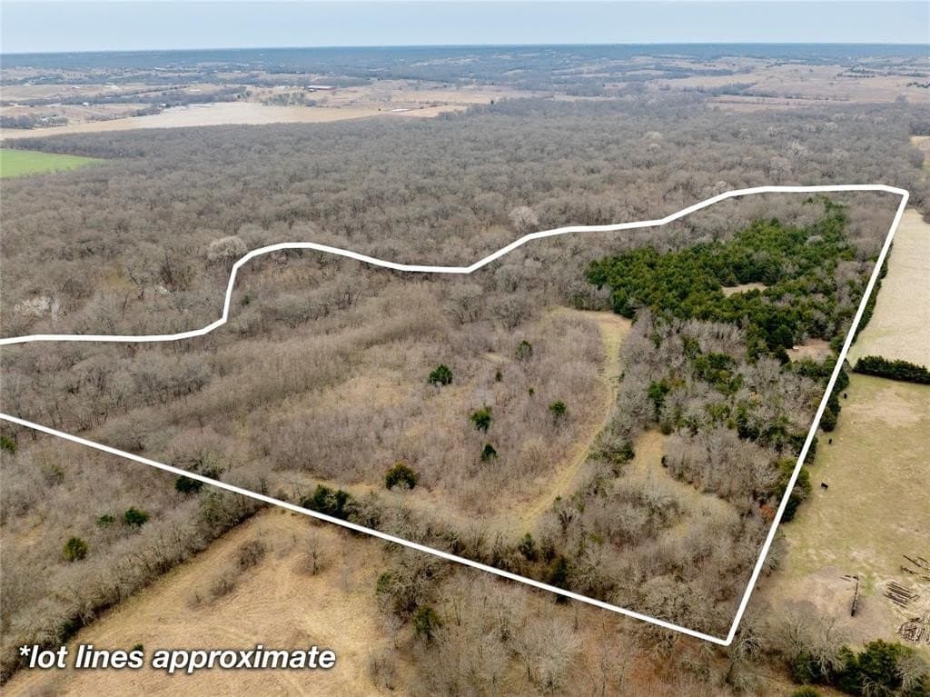 30.5 acres in Collin County gallery image 2