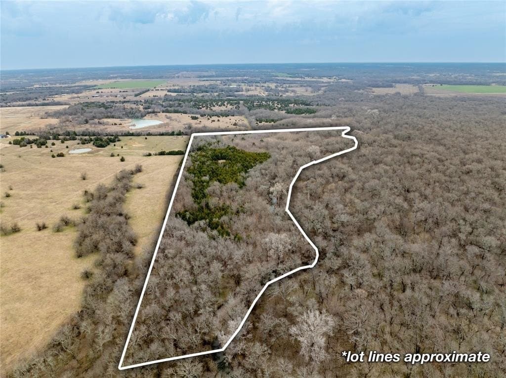 30.5 acres in Collin County gallery image 4