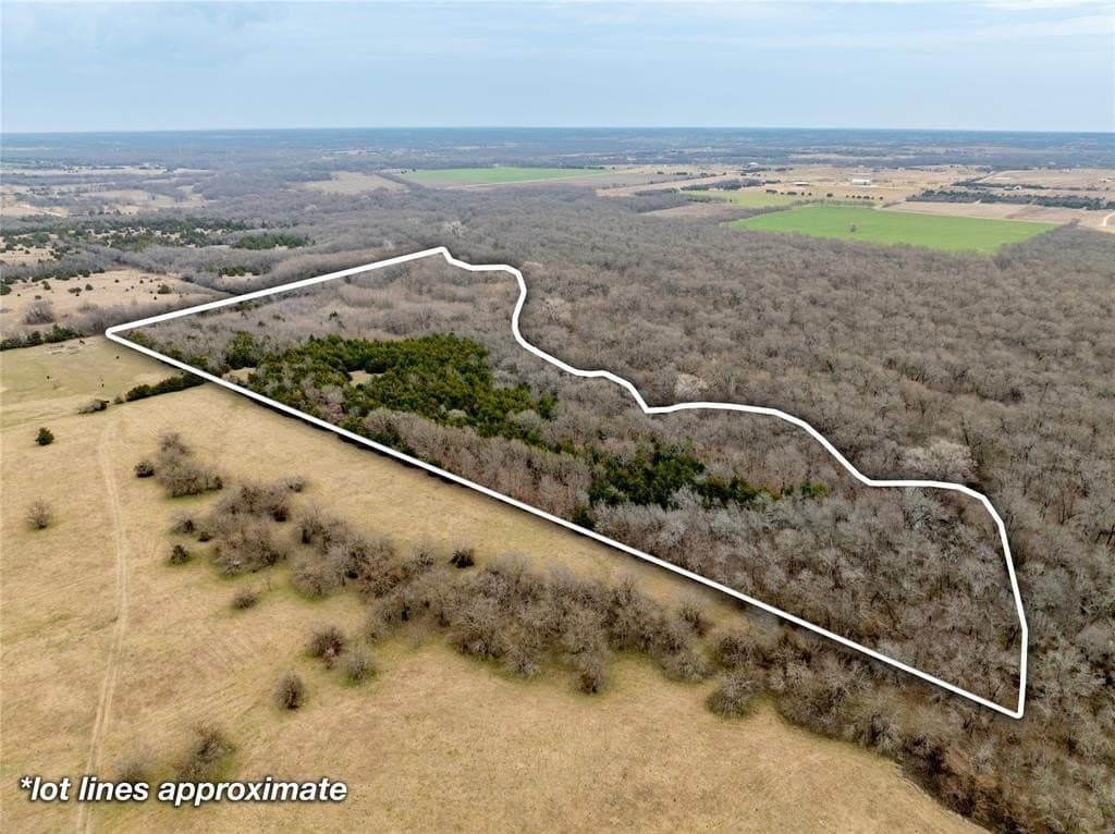 30.5 acres in Collin County gallery image 3