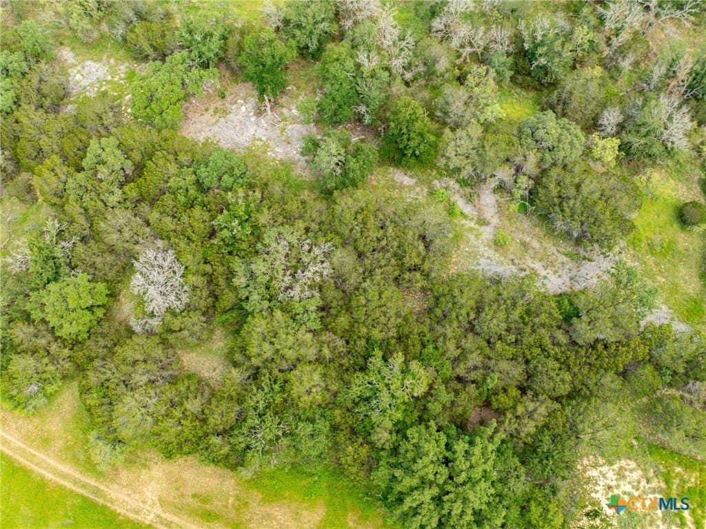 10.01 acres in Coryell County - photo 23