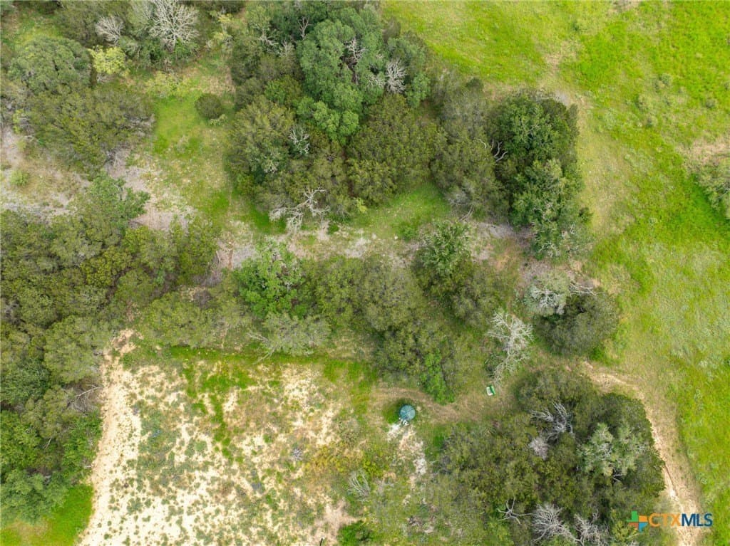 10.01 acres in Coryell County - photo 24