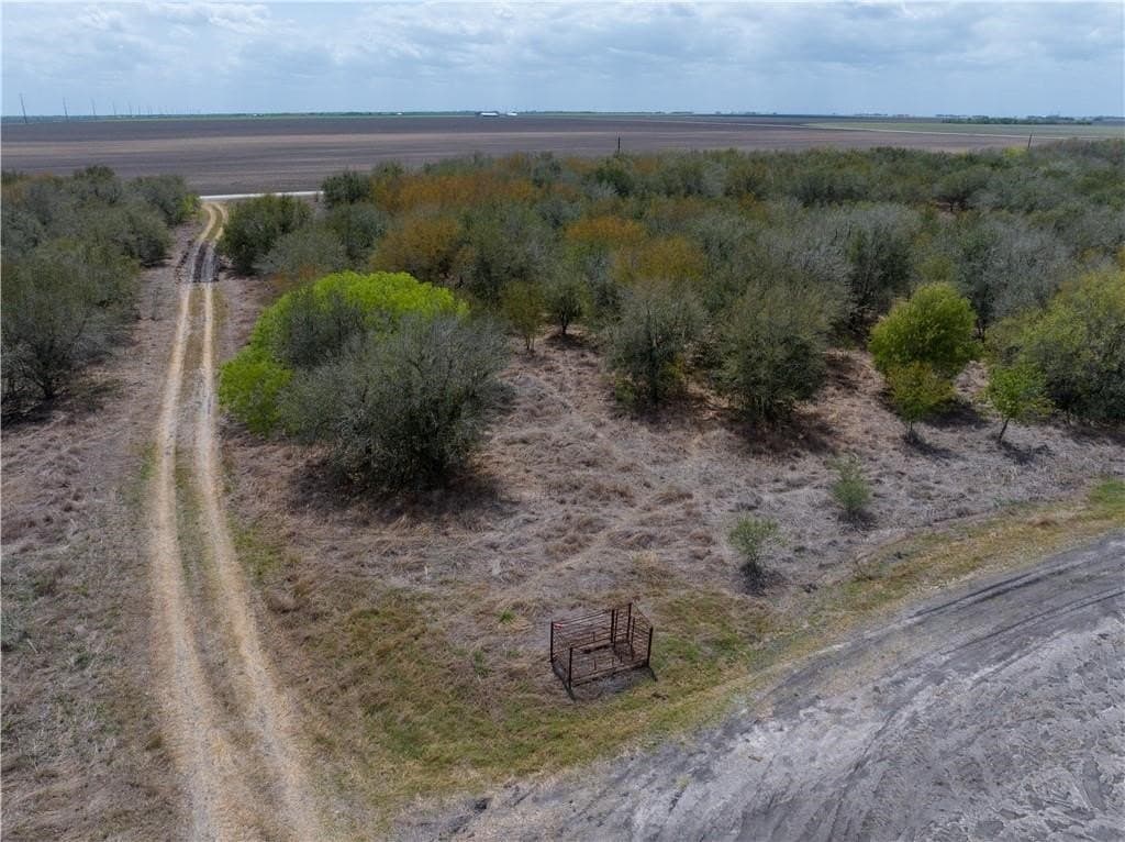 7.43 acres in San Patricio County gallery image 3