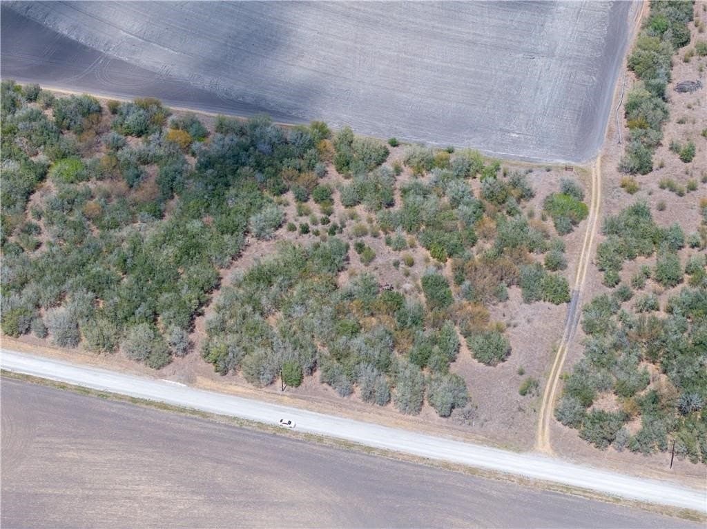 7.43 acres in San Patricio County - photo 6