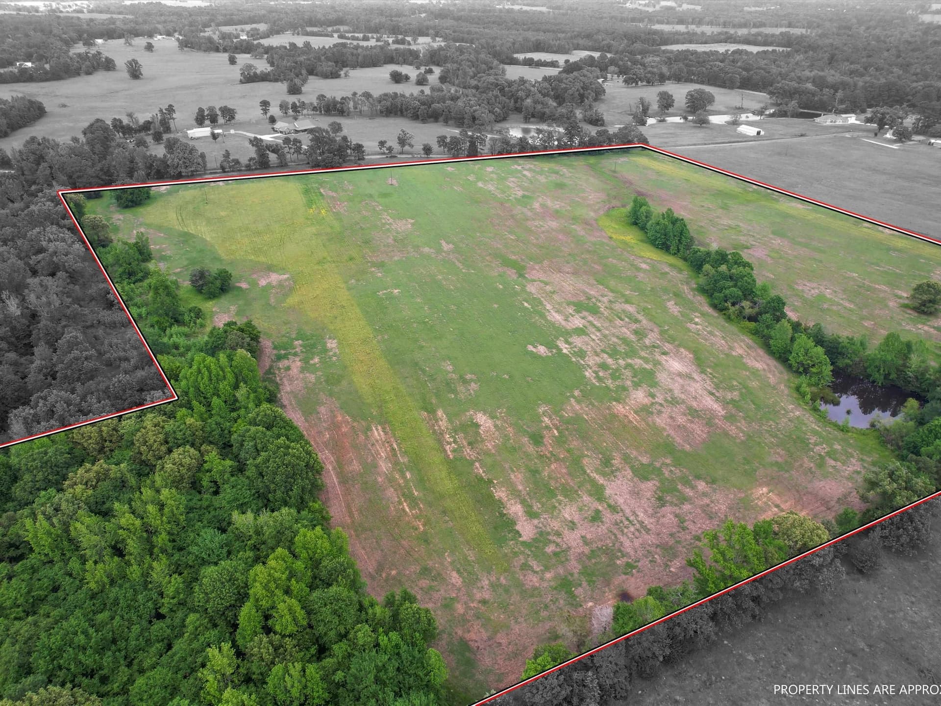 38.78 acres in Upshur County gallery image 2