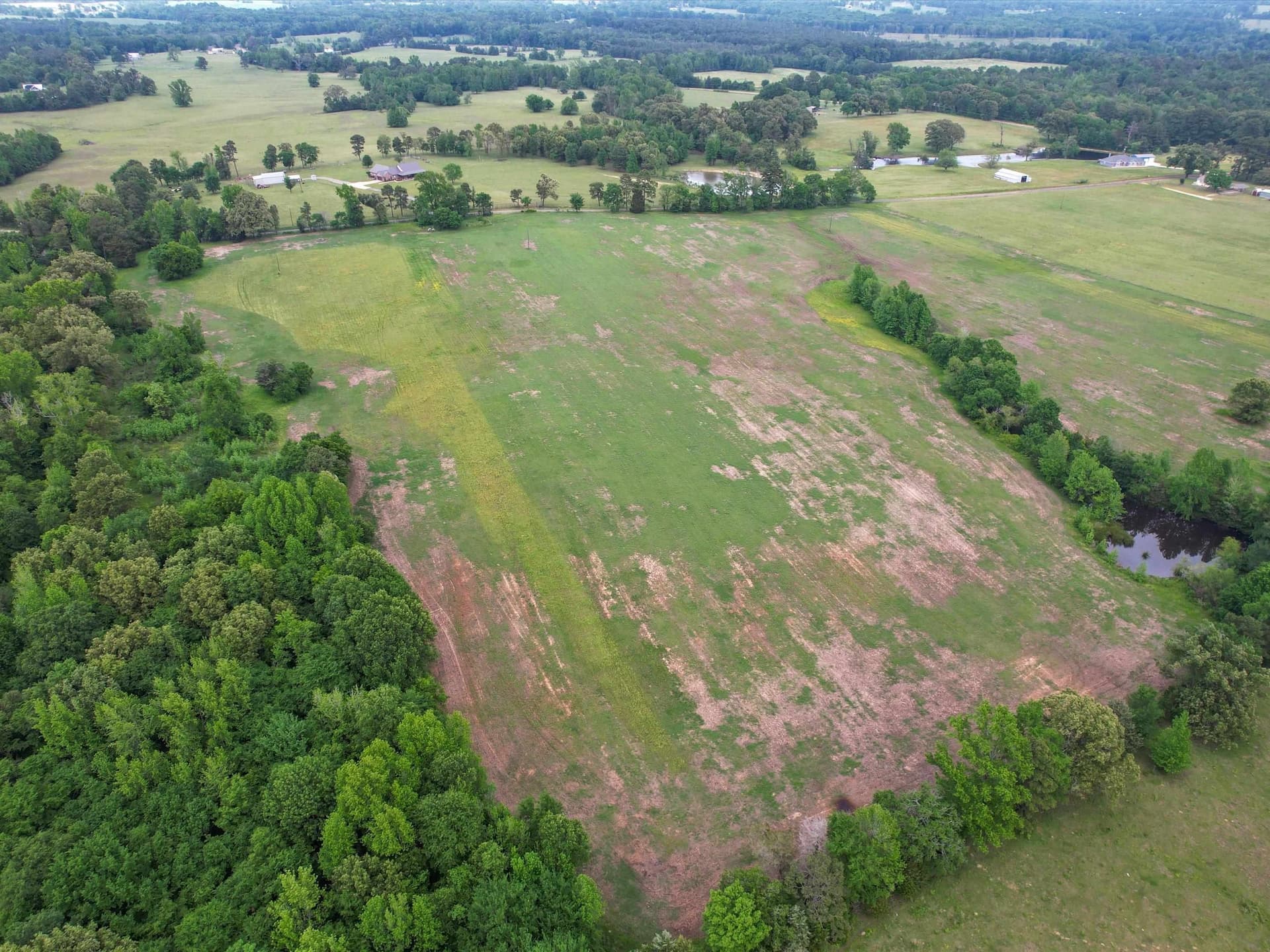 38.78 acres in Upshur County gallery image 3