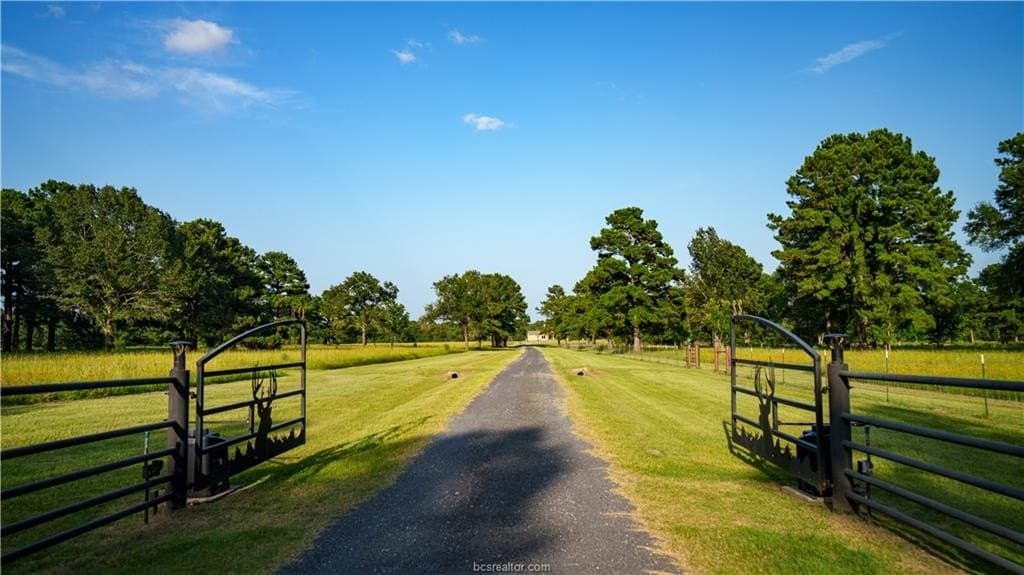141 acres in Walker County - photo 8