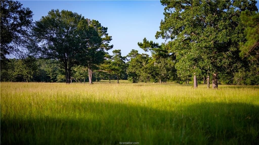 141 acres in Walker County - photo 42