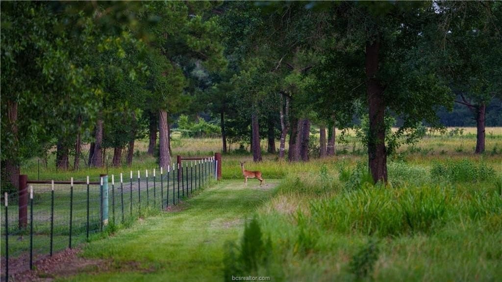 141 acres in Walker County - photo 46