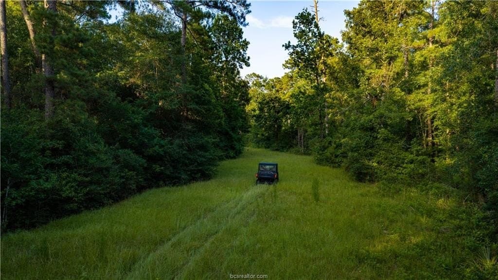 141 acres in Walker County - photo 50