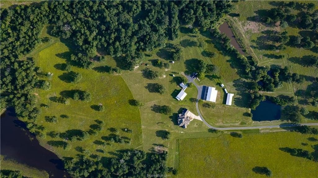141 acres in Walker County gallery image 4