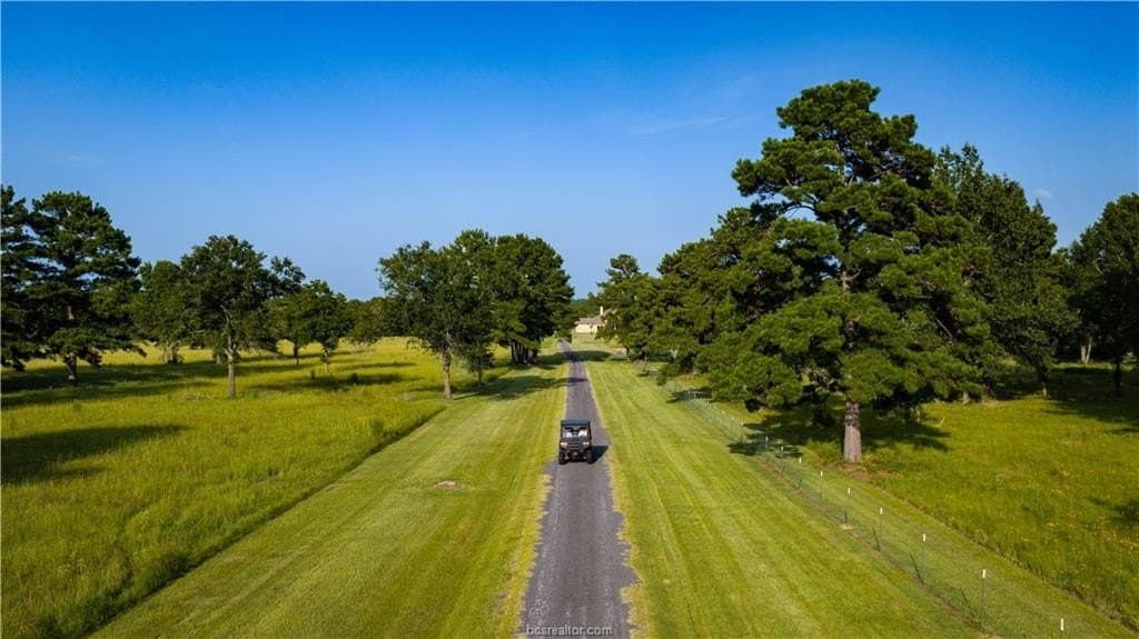 141 acres in Walker County - photo 9