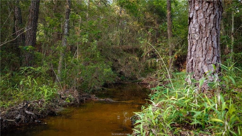 141 acres in Walker County - photo 49