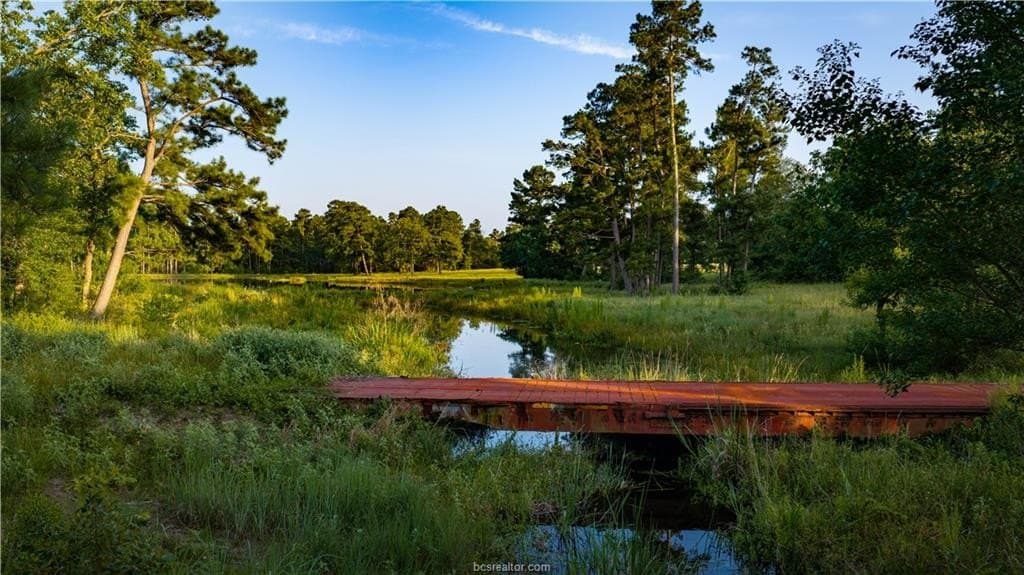 141 acres in Walker County - photo 48