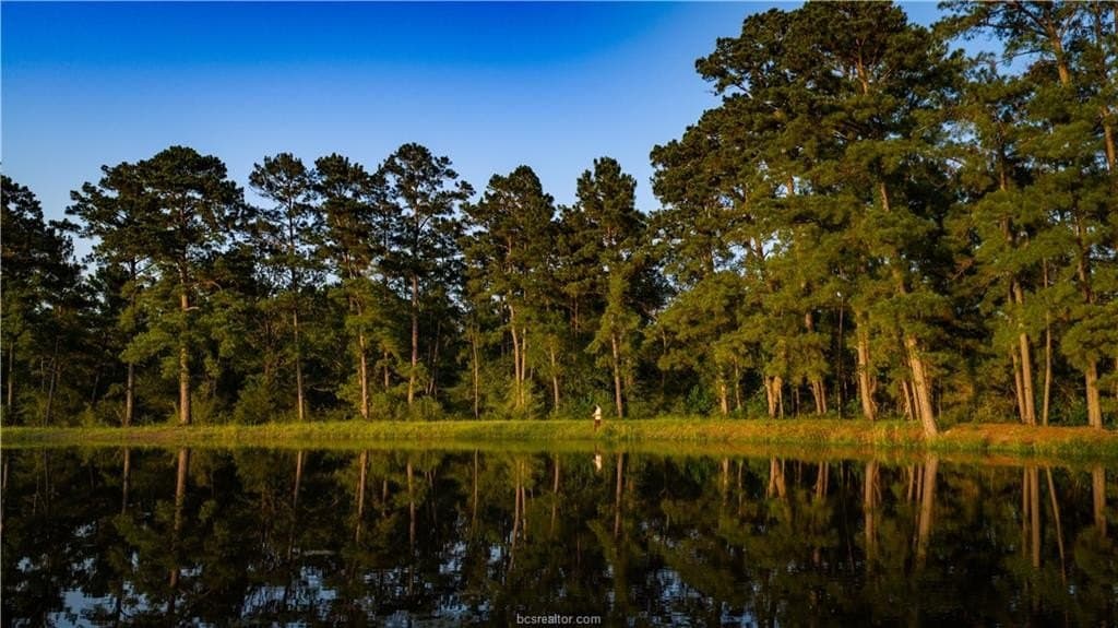 141 acres in Walker County - photo 6