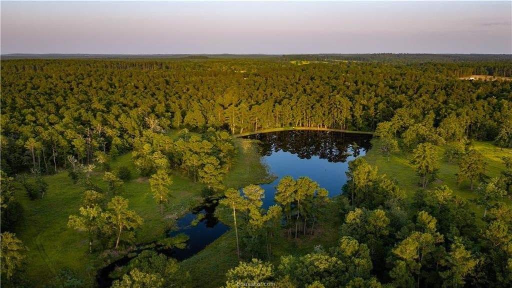 141 acres in Walker County - photo 7