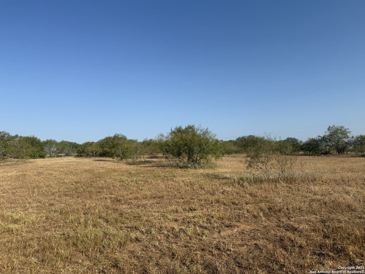 11.6 acres in Wilson County - photo 6