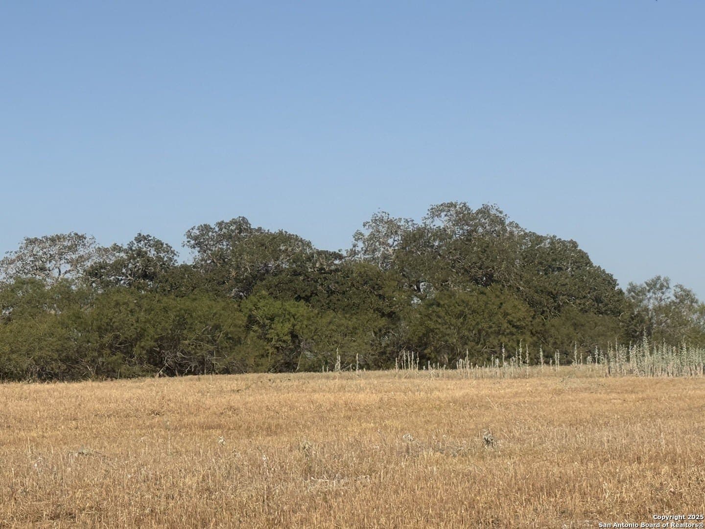 11.6 acres in Wilson County - photo 8