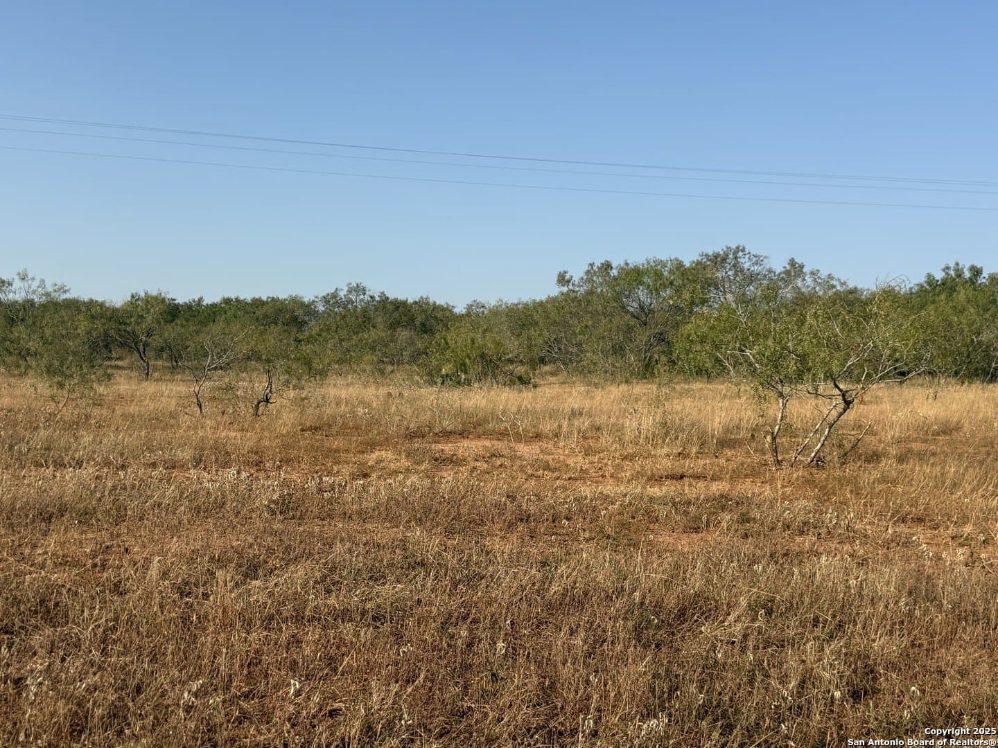 11.6 acres in Wilson County - photo 14