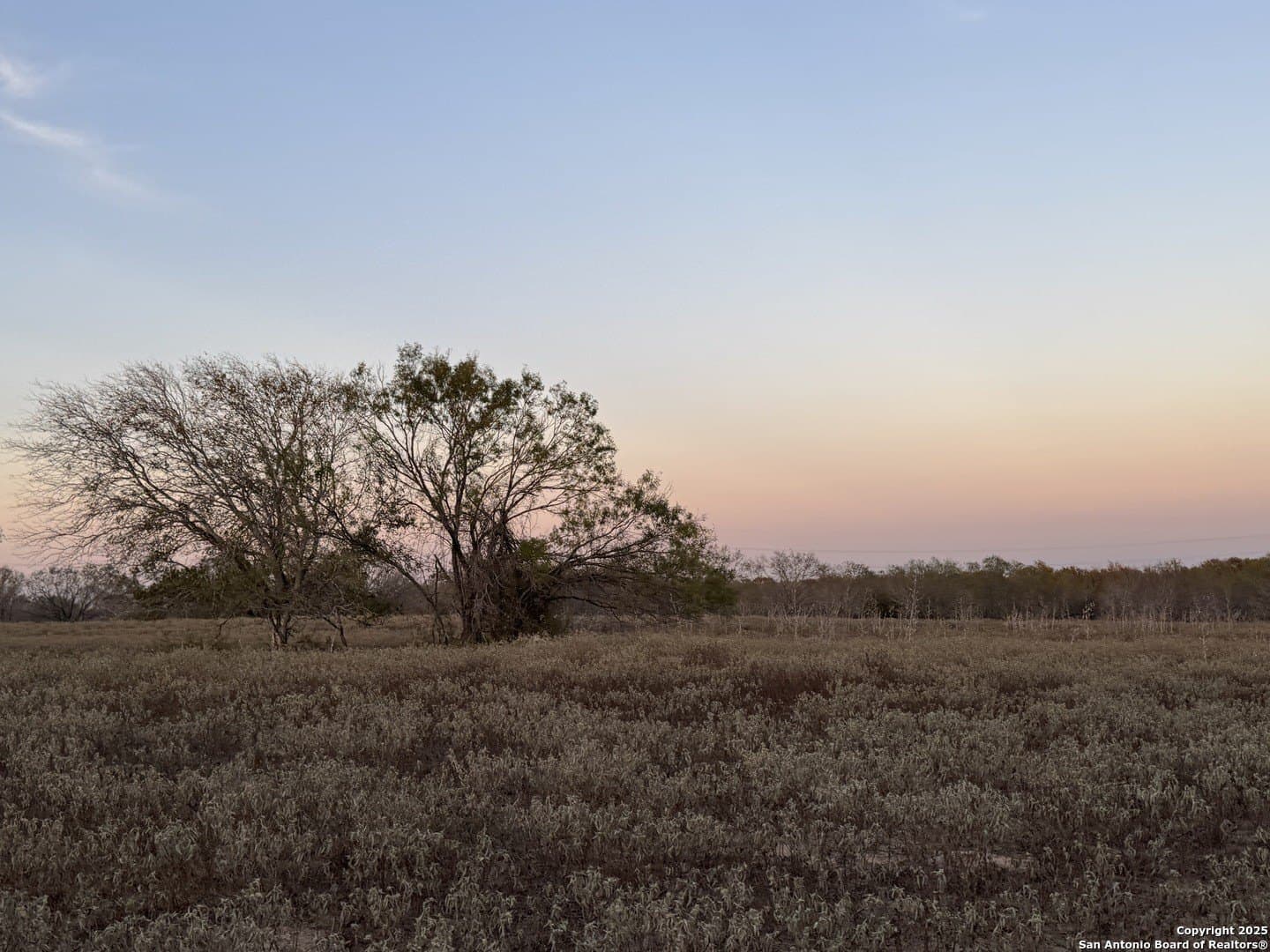 11.6 acres in Wilson County - photo 4