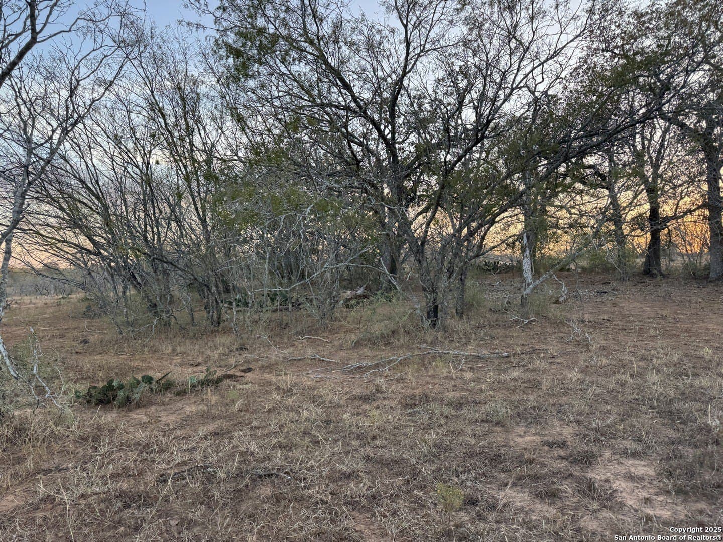 11.6 acres in Wilson County - photo 2