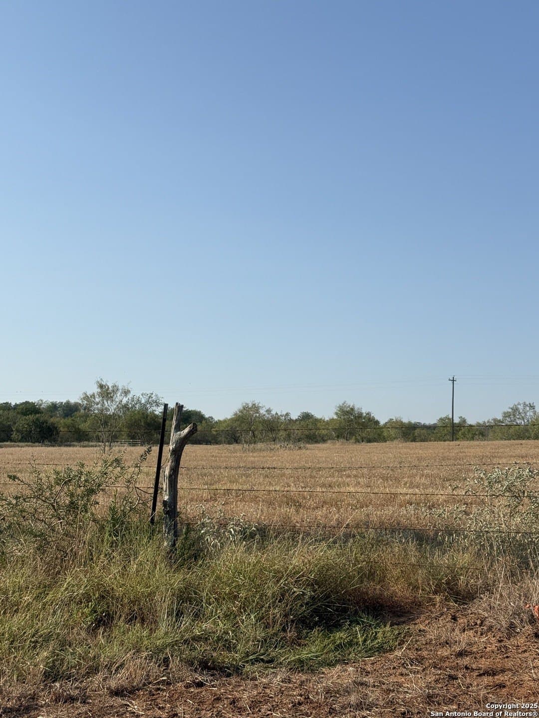 11.6 acres in Wilson County - photo 11