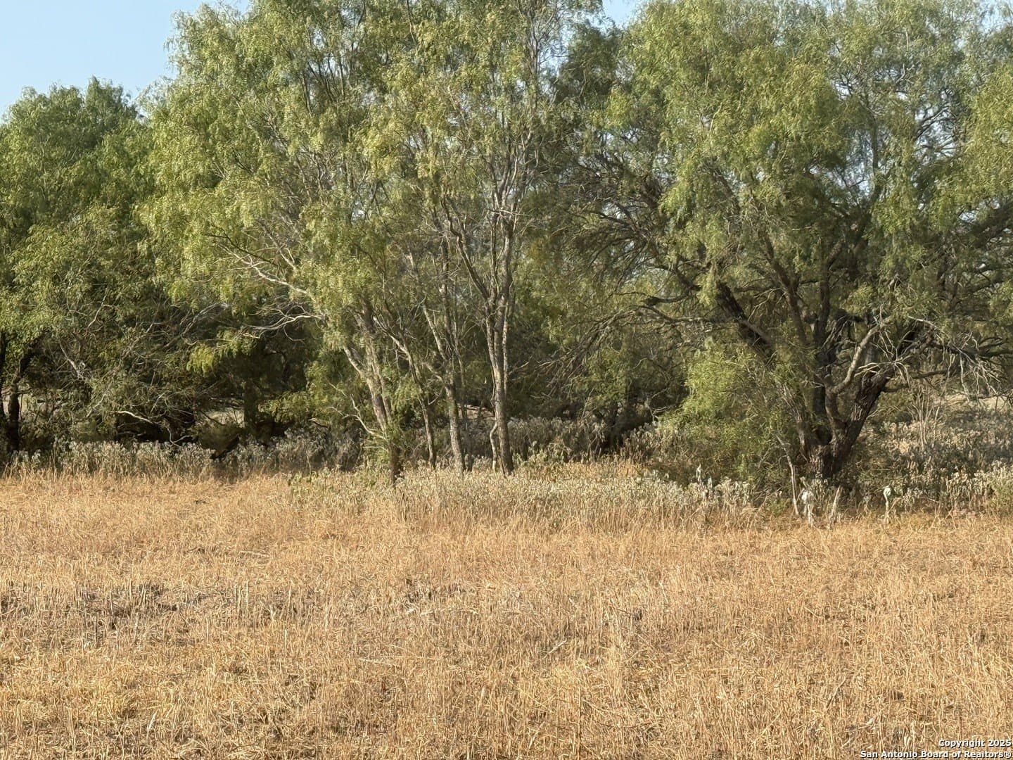 11.6 acres in Wilson County - photo 9